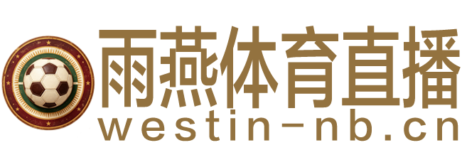 雨燕体育直播